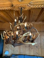 Antler Chandelier